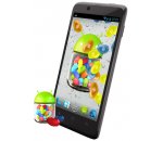 micromax canvas ego a113